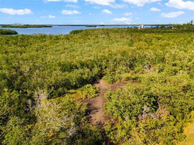 445 Horseshoe Loop Rd, Terra Ceia, FL 34250 - aerial view of a large body of water and a forest