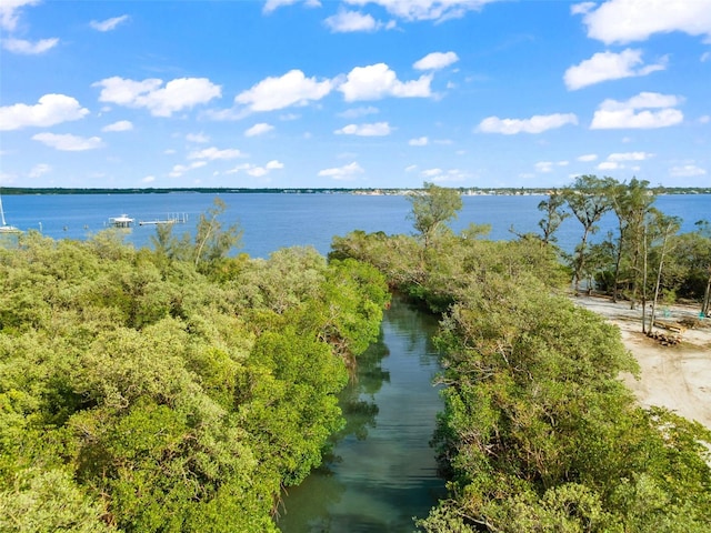 445 Horseshoe Loop Rd, Terra Ceia, FL 34250 - water view
