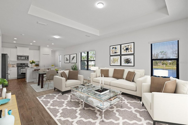 living room with a tray ceiling