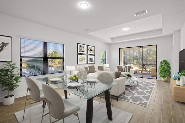 living room featuring a textured ceiling and a raised ceiling