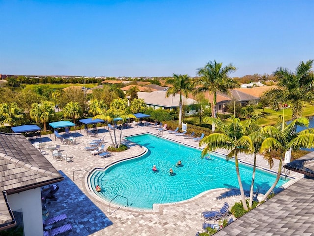 view of swimming pool with a patio