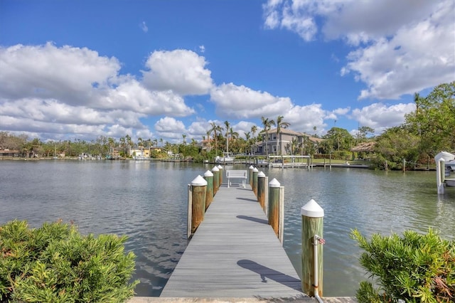 dock area featuring a water view