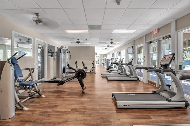 exercise room featuring hardwood / wood-style flooring, ceiling fan, and a paneled ceiling