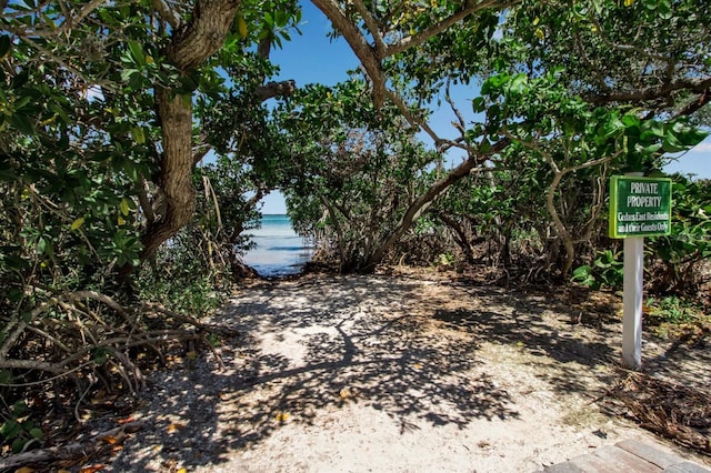 view of yard featuring a water view