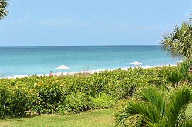 water view featuring a view of the beach