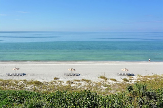 water view featuring a beach view