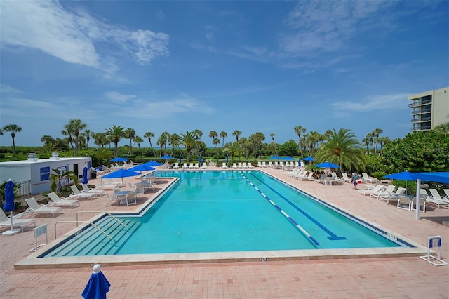 view of swimming pool featuring a patio