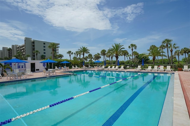 view of pool featuring a patio