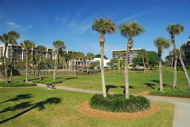 view of property's community featuring a lawn