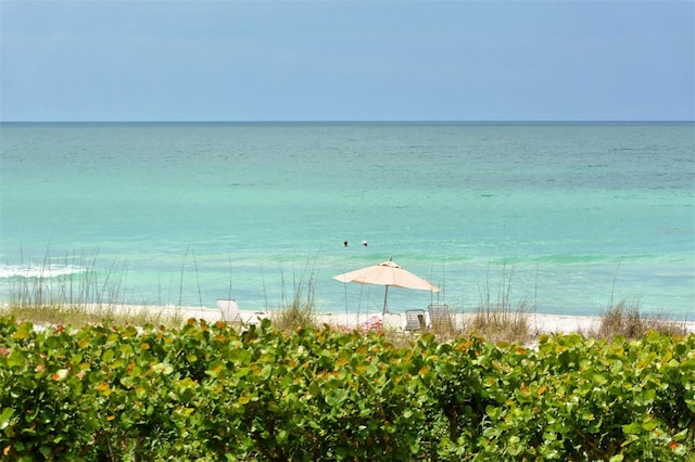 view of water feature with a beach view