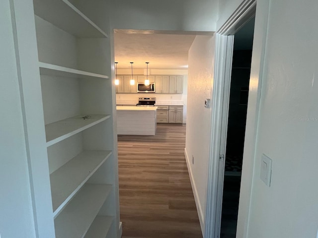 hall featuring dark hardwood / wood-style floors