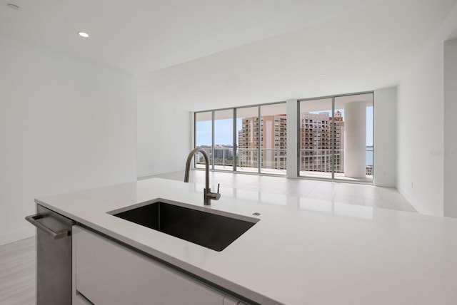 kitchen with dishwasher, light hardwood / wood-style floors, and sink