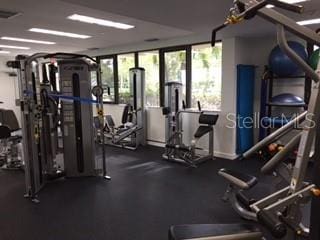 workout area with a wealth of natural light