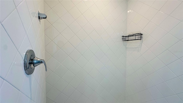 room details with tiled shower