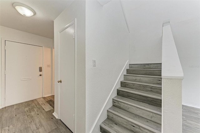 stairway with hardwood / wood-style flooring