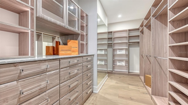 spacious closet featuring light hardwood / wood-style flooring