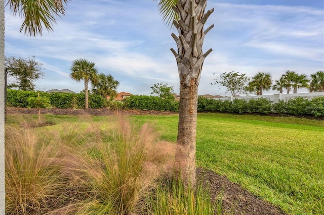 view of grassy yard