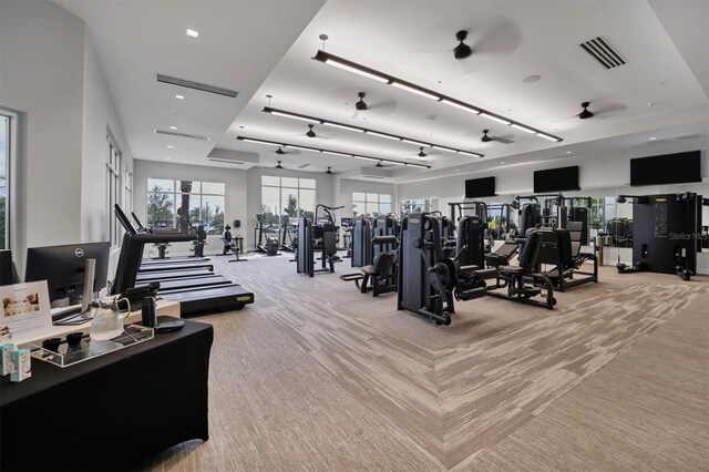 exercise room with light colored carpet, ceiling fan, and healthy amount of natural light