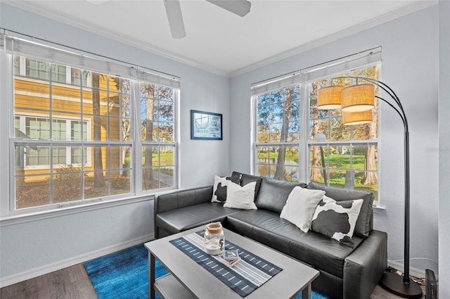 interior space featuring ceiling fan, ornamental molding, and hardwood / wood-style flooring