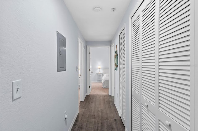 hall featuring dark hardwood / wood-style flooring and electric panel