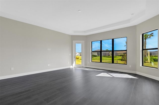 unfurnished room featuring a raised ceiling, plenty of natural light, and dark wood-type flooring