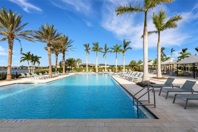 view of pool with a patio area