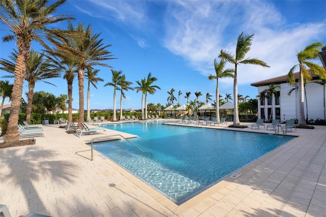 view of swimming pool with a patio