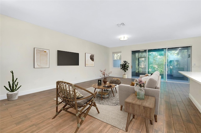 living room featuring wood-type flooring