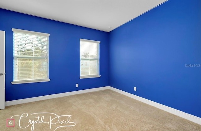 spare room with light carpet and plenty of natural light