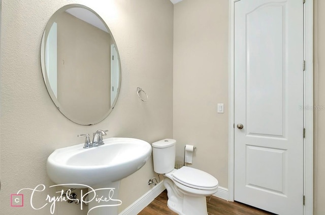 bathroom with toilet and wood-type flooring