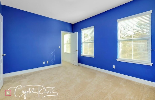 carpeted empty room with a wealth of natural light