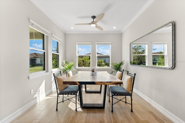 dining room with light hardwood / wood-style floors, plenty of natural light, and ceiling fan