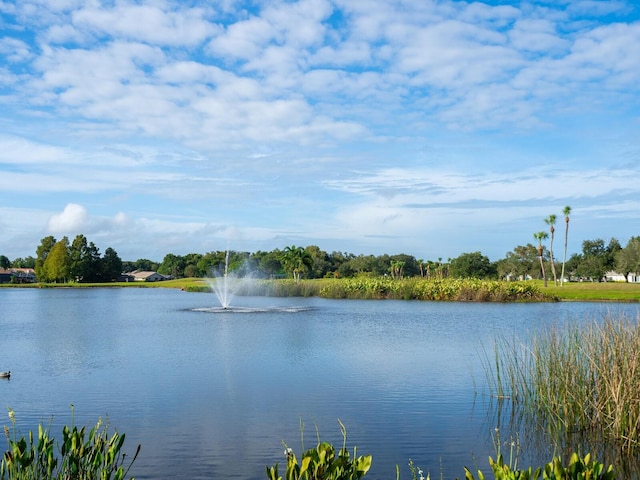 view of water feature