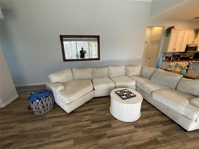 living room with dark hardwood / wood-style floors