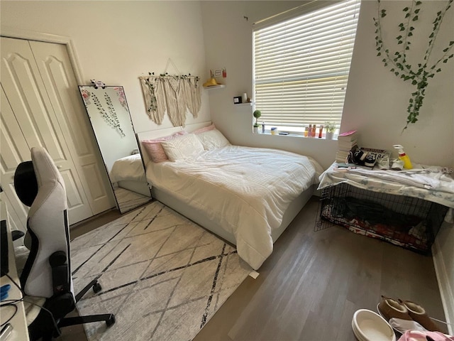 bedroom featuring wood-type flooring and a closet