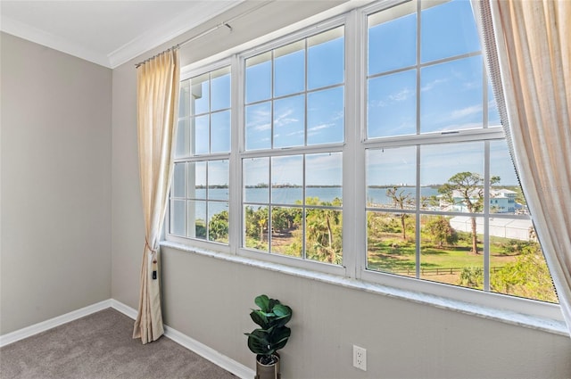 room details featuring carpet flooring, crown molding, and a water view