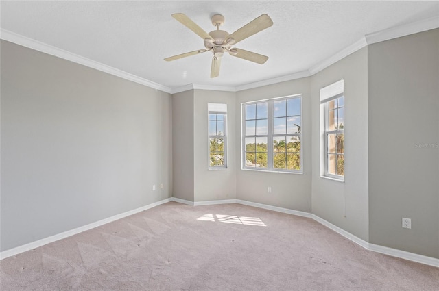 carpeted empty room with ceiling fan and ornamental molding