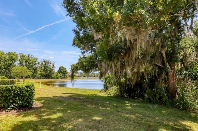 view of yard with a water view