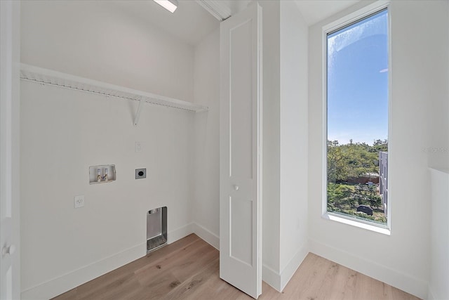 washroom with electric dryer hookup, plenty of natural light, and light hardwood / wood-style flooring