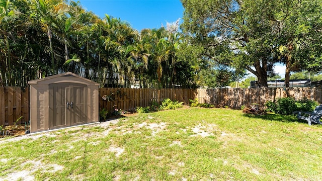 view of yard featuring a shed