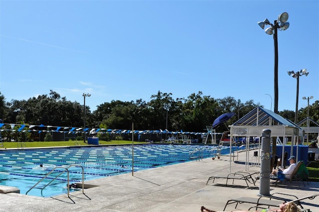 view of swimming pool with a patio