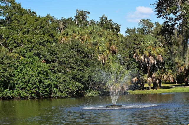 view of water feature