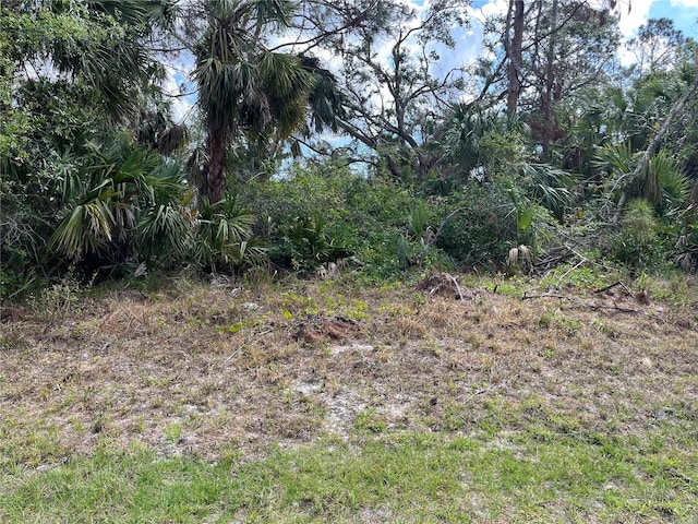 Listing photo 2 for Brewster Rd, North Port FL 34288