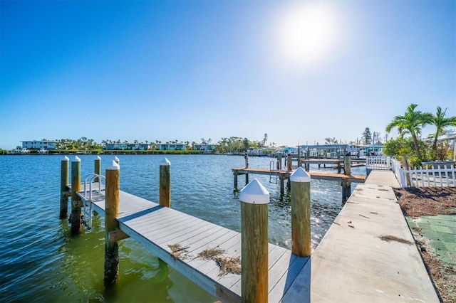 dock area with a water view