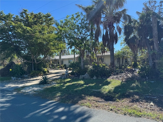 obstructed view of property featuring a front lawn