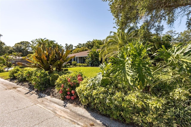 view of front facade with a front yard