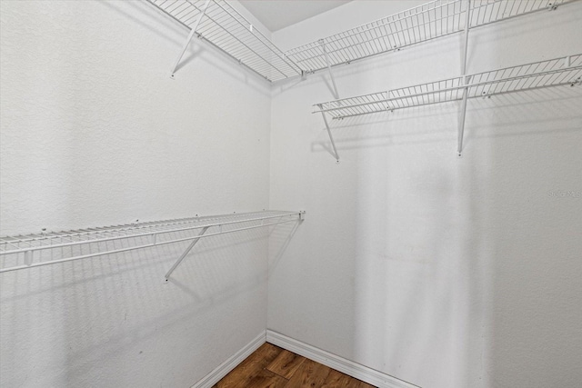 spacious closet with dark wood-type flooring