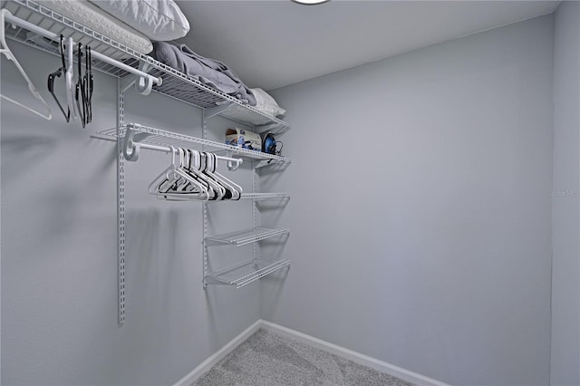 walk in closet with carpet