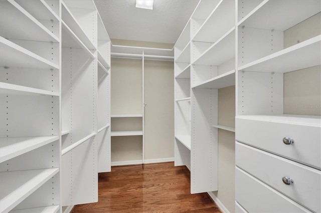 1800 Benjamin Franklin Dr Unit A304, Sarasota, FL 34236 - walk in closet featuring wood finished floors