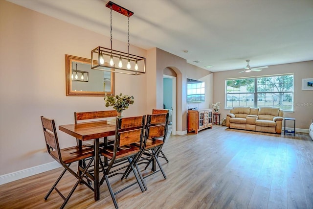 dining space with ceiling fan and hardwood / wood-style floors